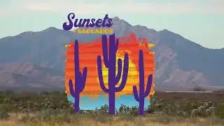 Family Motor Coach Association Sunsets and Saguaros