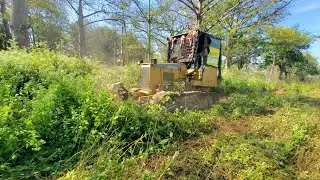 Excellent Start A New Perfect Project Complete100% Clear The Forest On The Flooded by Dozer 