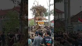 #punapibali #viral #funny