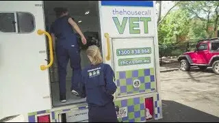 What To Expect From a House Call | The House Call Vet Brisbane