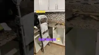 #moldremoval #kitchen #construction #moldcleaning #home #moldgrowth #blackmold #molddamage