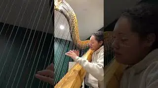 Rainy Sunday frizz #harp #music #musician #harpist #original