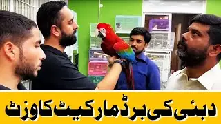 Birds Market In  Dubai