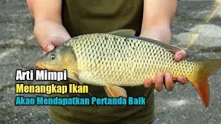 Arti Mimpi Menangkap Ikan, Akan Mendapatkan Petanda Baik