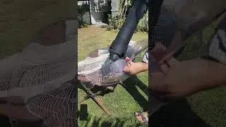 Cordless leaf blowers are not just for blowing leaves; they can also be used to blow away water a...