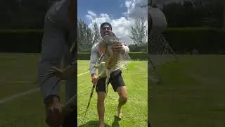 😱 STRONGEST IGUANA TAIL WHIP EVER 😱 Did you know iguanas were this dangerous? . . . . #tortoise