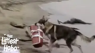 The Spirit of Thunder Rock &ndash; Part 1 | The Littlest Hobo | Season 4 | Episode 7