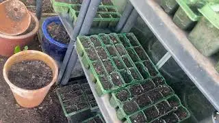 Tour of my little vegetable garden & greenhouse set up,  in Devon
