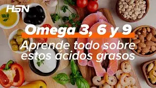 ➡ Descubre el ABC de Omega 3, 6 y 9: Todo lo que necesitas saber 🤔