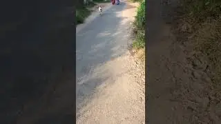 roadway