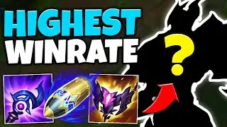 You Won't Believe the NEW Highest Win-Rate Support! (This is Broken)