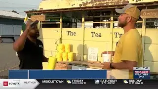 Kickin' it with Ken: Mustard Seed Market preview