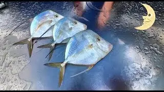 Поймайте и приготовьте рыбу-луну! Ешьте ОЧЕНЬ тонкую рыбу!
