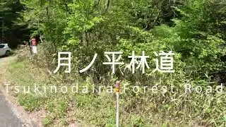 月ノ平林道 Tsukinodaira Forest Road  Ena City  Gifu,Japan