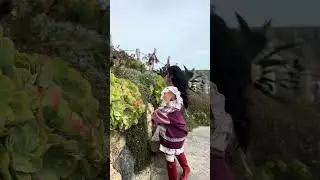 📍The Minack Theater #cornwallholiday #plants #Minacktheater