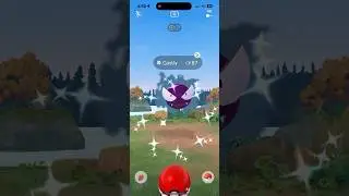 SHINY GASTLY ✨ Pokemon Go #pokemongo #pokemongoshiny #shinypokemon