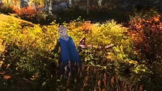 Skyrim - Project ENB - Climates of Tamriel - Woods Riften -121 Mods - HD
