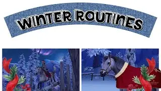 Winter routine sso (snow day + training)