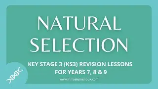 Natural Selection, Evolution & Extinction and Charles Darwin - Biology Revision (Years 7, 8 & 9)