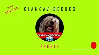 BAGNACAVALLO vs COMPAGNIA DELL'ALBERO 3-0 GOL POGGI