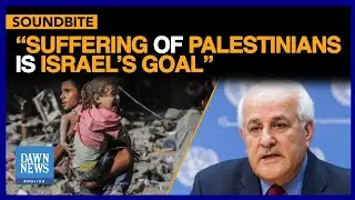 Suffering Of Palestinians Is Israel&rsquo;s Goal: Envoy Ryad Mansour At UNSC Moot | Dawn News English