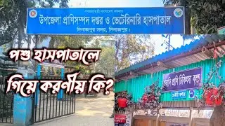উপজেলা পশু হাসপাতাল থেকে কি কি সেবা পাওয়া যায়। Technical Garage