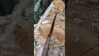 Satisfying Crisp Log Splitting in Slow Motion 😄 #shorts