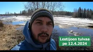 Lestijoen tulvaa perjantaina 12.4.2024