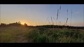 brame 2025 - Haute Loge Vosges