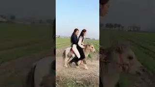 Short double by the field