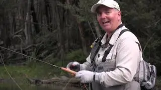 Stalker Legend Fly Rod