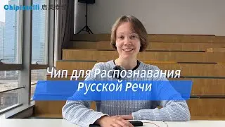 Russian voice control solution for light