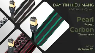 D&acirc;y t&iacute;n hiệu mạng RJ/E AudioQuest Pearl, Forest, Cinnamon, Carbon | AudioHanoiTV 95