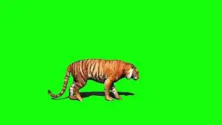 uyh