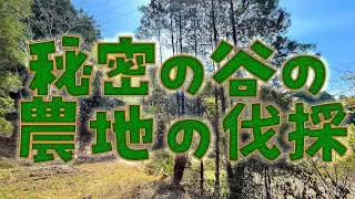 秘密の谷の農地の伐採