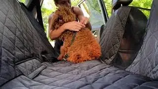 KULULU - Dog Car Seat Cover for Back Seat