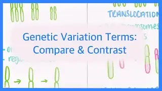 Genetic Variation Terminology: Compare & Contrast