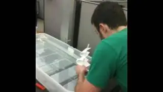 Paper Boat Races - Operations