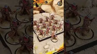 Painting the ENTIRE House Martell Faction | A Song of Ice & Fire TMG Showcase #gamesofthrones