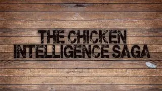 Bill Burr | The Chicken Intelligence Saga