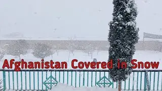 Beautiful Snowfall in Afghanistan | Amazing Winter View in Afghanistan Covered in Snow