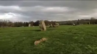 Stanton Drew Megalithic Stone Circle
