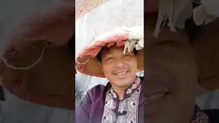 Pesona Tukang Cukur #tukangcukur #potongrambut #barbershop
