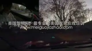 美国驾照网完整版视频