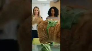 #cats #cat #story #kitten #kitty #shorts #short #ai #history