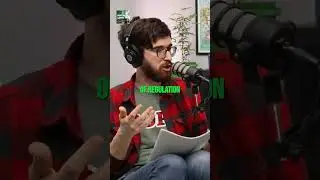 🚨 Minnesota Cannabis License Window: What You Need to Know! | Northern Lights Podcast