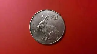 A Flower Blooming in the Wildwood - The Tadcasters - Coins Session