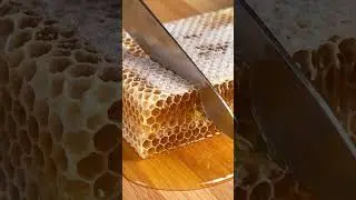 Satisfying Honeycomb Slice in Slow Motion