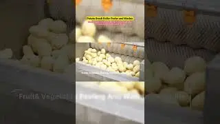 Automatic Peeling Washing Machine For Vegetable And Potato Peeling #foodmachinery #vegetablepeeler