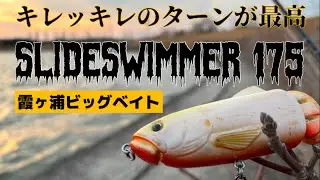 【バス釣り】デプス/スライドスイマー175をメインで霞ヶ浦を攻めた‼️ターンがキレッキレで気持ち良すぎる✨#バス釣り #デプス